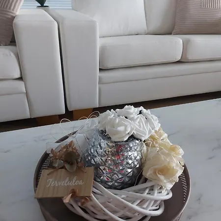 Penthouse-tasokas Moderni Kaupunki Huipulla -iso Jacuzzi Omalla Kattoterassilla - Aurinkotuolit Ja Aurinko Odottaa Sinua - Huikea Maisema- - 10 Hloe - Free Parking Апартаменты *